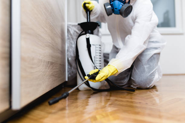 Best Best Pest Control Companies  in Noyack, NY