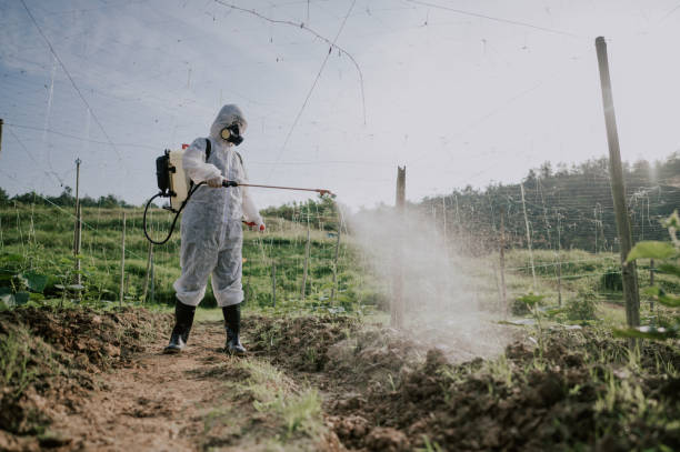 Best Commercial Pest Control Services  in Noyack, NY
